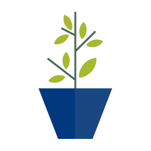 IconUmsetzung2